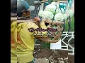 Download Lagu Story wa \