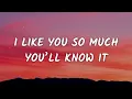Aviwkila - I Like You so Much, You’ll Know It (Lyrics)