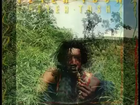 Peter Tosh - Shame and Scandal