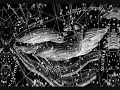 Galaxy - Flight Of The Phoenix