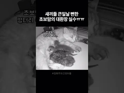 뭔가 이상한 초보맘