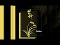 Download Lagu [100% Official Instrumental] Mang Chủng - Âm Khuyết Thi Thính | 芒種 - 音闕詩聽