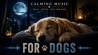 Your Best Friend Deserves This Beautiful Music 🐶