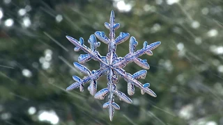 Download Capturing the Beauty of Snowflakes | High-Speed Camera Reveals Secrets of Ice Crystals MP3