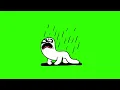 Cry Green Screen Animated Crying GIF