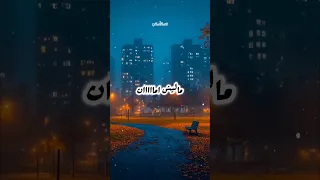 ماليش امان عشان خلاص قلبت ديب 