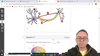 PSYC 1001 Final Exam Review