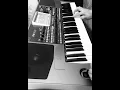 Download Lagu Shakre shakre musik remix korg pa 900 Vladimir Agayan