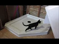 HOME DEPOT CORNER SHOWER FLOOR PAN INSTALLATION UP BATH
