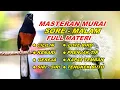 Lagu 🔴 LIVE 06 - Masteran Murai Batu Terbaik Full Isian Tembakan kasar 100% Bikin Murai Juara
