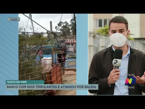 Barco com dois tripulantes é atingido por baleia
