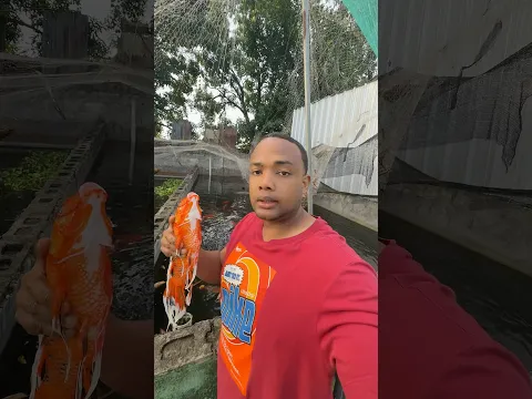 Un pez con más 10 años 🐠