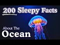 Lagu 4 Hours of Relaxing Ocean Facts to Fall Asleep To — Dreamy Science