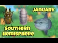 ALL NEW Southern Hemisphere Fish Bugs and Sea Creatures In January Animal Crossing New Horizons