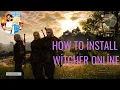How to install Witcher Online mod