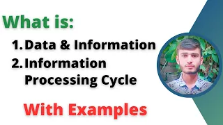 Data and Information with Examples Information Processing Cycle with Examples Examples