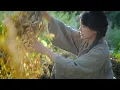 So …it goes like…the life of peas!那…只有豌豆的一生了!不是说好“下个视频”你们帮我取标题的吗?丨Liziqi Channel