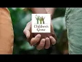 Foundations of Trust