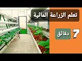 تعلم الزراعة المائية -الزراعة المائية للمبتدئين في سبع دقائق