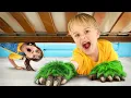 Download Lagu What's Hiding Under the Bed story for kids
