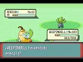 Download Lagu POKEMON EMERALD | WEEPINBELL | ARRAIGO | INGRAIN