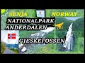 Download Lagu Senja - Nationalpark Ånderdalen \