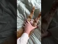 Reminder To Stretch Your