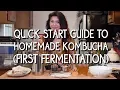 Quick Start Guide to Homemade Kombucha First Fermentation