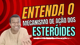 Como os Esteroides Funcionam? Mecanismo de Ação Explicado!
