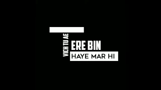 Tere bin || new romantic status || by Abhijeet Shrivastava ft Parmish Verma