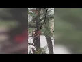 Download Lagu Video shows woman stuck in tree after treading floodwaters for 20 miles across Texas