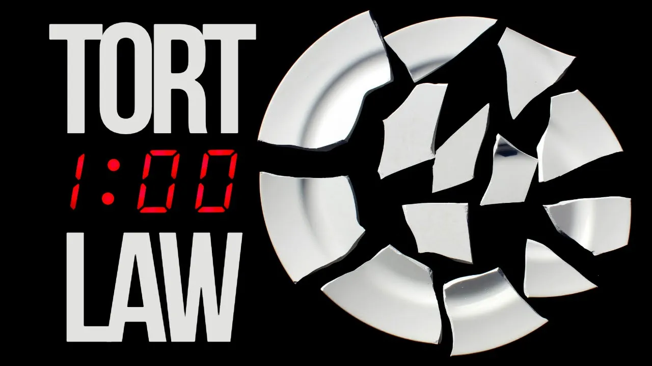 Tort Law in one hour