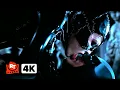 Download Lagu Batman Returns (1992) - Batman and Catwoman Kiss (Kinda) | Movieclips