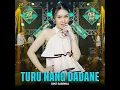 Turu Nang Dadane