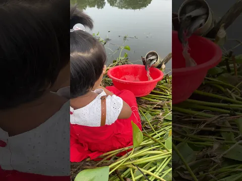Beautiful village fishing #fishing #handfish #fish