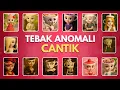 Download Lagu Tebak Anomali Brainrot AI Cantik dari Suaranya 😍 Icharina Matchanova, Jellyta Laura