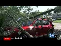 Milford family displaced after Thursday s storm drops trees on home garage and cars