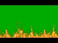 Fire flames Green screen effect Flames green screen template