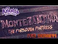 Can One Person Handle Knott s Berry Farm on Its Busiest Day VLOG