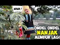 Download Lagu ONDEL ONDEL BETAWI UDAH NANJAK MALAH MUNDUR LAGI || Sanggar Kembar Betawi