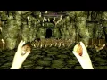 Skyrim SE Hundreds of Exploding Chickens at the same time Holy Sh