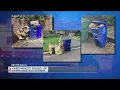 Yard waste piling up