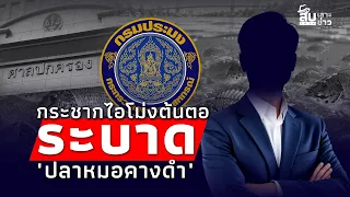 สืบเสาะเจาะข่าว​ : กระชากไอโม่ง! ต้นตอระบาด​ "ปลาหมอคางดำ" ศาลสั่งฟัน "ประมง" บกพร่องหน้าที่?