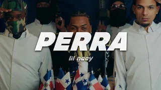LIL NAAY - PERRA | Letra