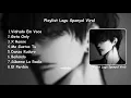 Lagu Playlist Lagu Spanyol Viral