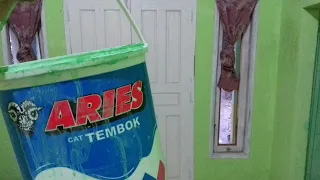 CAT TEMBOK ARIES SEHARIAN NGECAT RUMAH SAMPAI BADAN SAKIT SEMUA