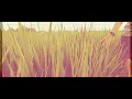 Download Lagu Sepanjang jalan kenangan - The Rain