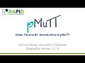 pMuTT Tutorials - 01 Introduction