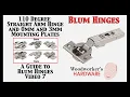 Blum Hinge Series - 71B3550 Straight-Arm Hinge with 0 and 3mm Mounting Plates Demo