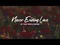 Never Ending Love by Fruit Should Remain (Lyric Video)